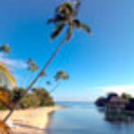 Jackaroo Australian Bar